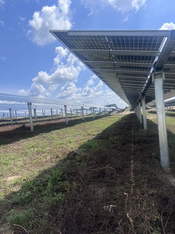 Estructura de paneles solares